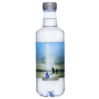 Agua (500 Ml.)
