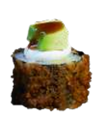 Hosomaki avomaki 8 pezzi