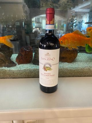 Bombarda Oltrepo’ Pavese vivace DOC TENUTA SAN ZENO 