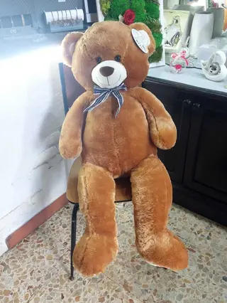 teddy