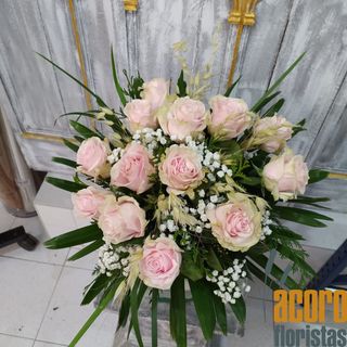 Docena De Rosas Rosas