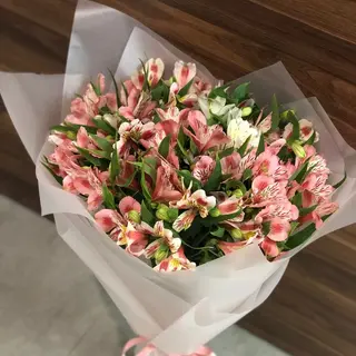 Альстромерії 15 гілок 