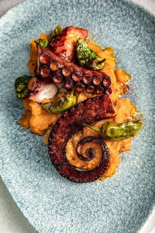 PATA DE PULPO A LA PARRI.