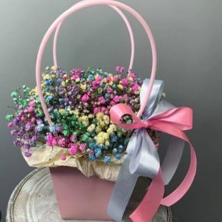 გიფსოფილები ჩანთით