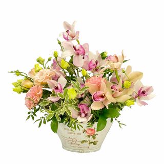 Orhidee imperiala si lisianthus in cos sau cutie catifea