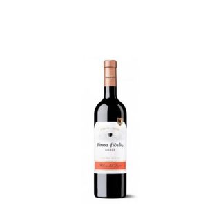 Pinna Fidelis 75 Cl