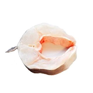 Congrio En Rodajas  Kg.