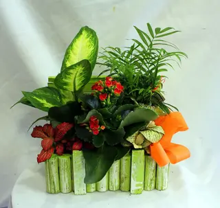 Baúl mediano de madera con plantas naturales