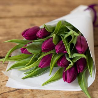 Ramo de tulipanes violetas. 16 tallos