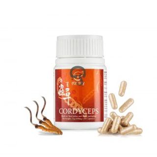 Cordyceps