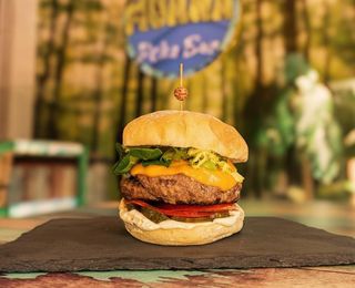 Classic CheeseBurger