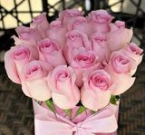 ვარდისფერი ვარდები