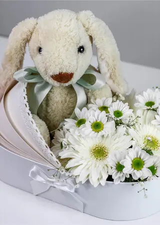 Baby Box Bunny 