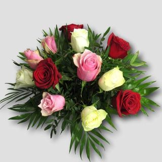 Docena Rosas Variadas