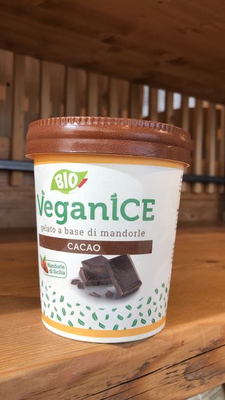 Veganice gelato alle mandorle e cacao biologico 340gr