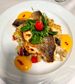 BIBAN (LUP) DE MARE  FILE  la gratar   