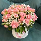 ვარდისფერი ჯუჯა ვარდები