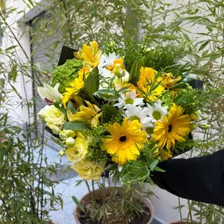 Santo Yellow