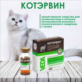 Котэрвин штучно