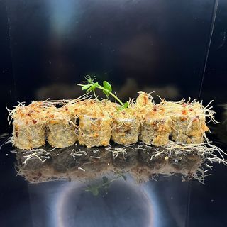 Hossomaki sake fritto