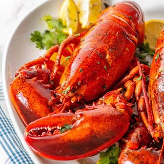 Whole lobster
