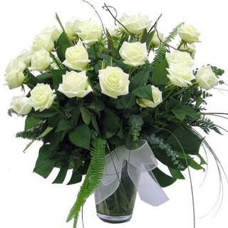 Rosas blancas (6 uds.)