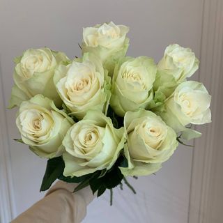 Букет з 9 троянд Atena