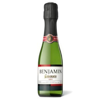 Cava Codorníu Benjamín (20 Cl.)