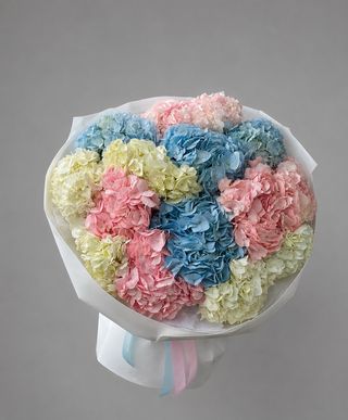 Гортензія мікс 15 шт