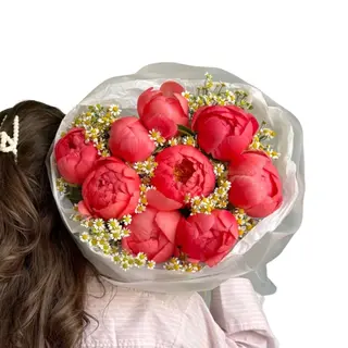 Piwonie Coral 9szt I rumianki