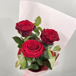 სამი წითელი ვარდი 3020