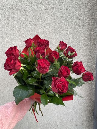 Róża czerwona 50cm cięta - 15 szt.