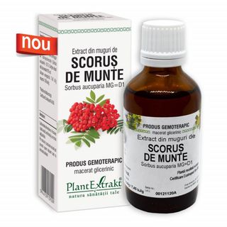 Extract din muguri de Scorus de munte 50 ml (SORBUS AUCUPARIA)