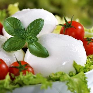Mozzarella di bufala dop