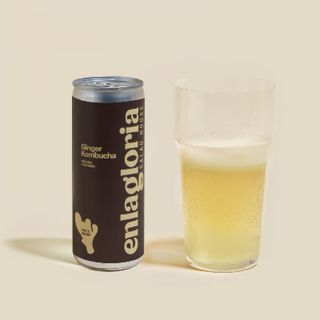 Ginger Kombucha