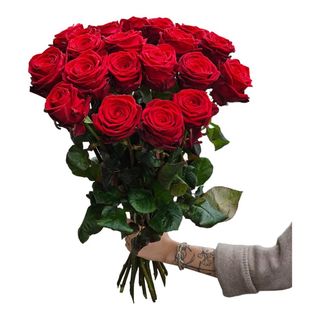 Bukiet z 10 Czerwonych Róż 