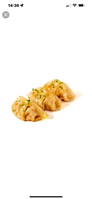 E9. Gyoza De Verduras (5 Pzs.)