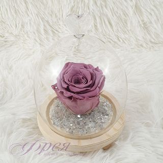 Вечна роза - цвят пепел от рози