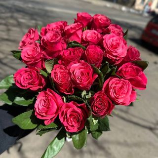 21 малинова троянда