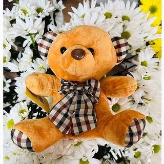 საჩუქარი-Teddy #1