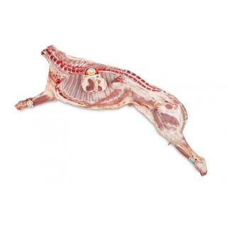 Medio Cordero Lechal  2,5 Kg.