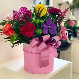 Cutie mix 17