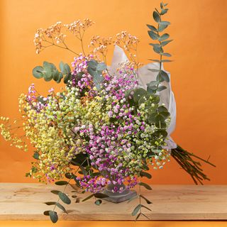 Ramo de paniculata mixta y Eucalipto