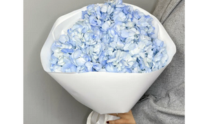 Bukiet 3 niebieskich hortensji