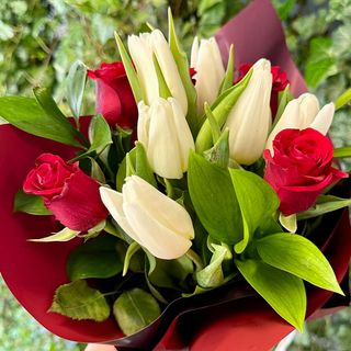 Lalele și trandafiri, roșu și alb