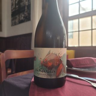 Vino Viñarda Blanco Ecológico
