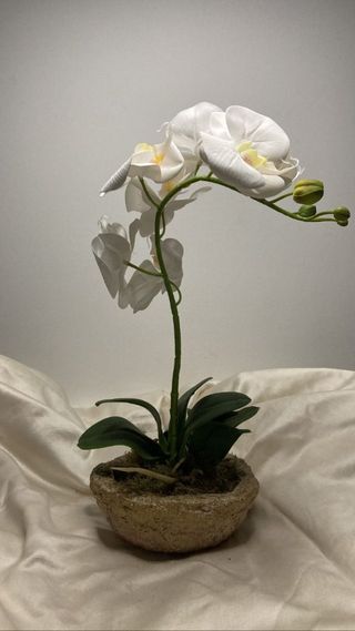 Orquídea artificial 2 (Branca)