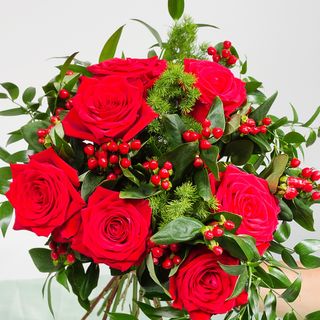 Rose hypercum