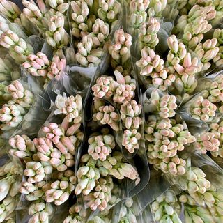 Buchet Express 7 tuberoze