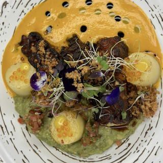 Tentáculo en costra